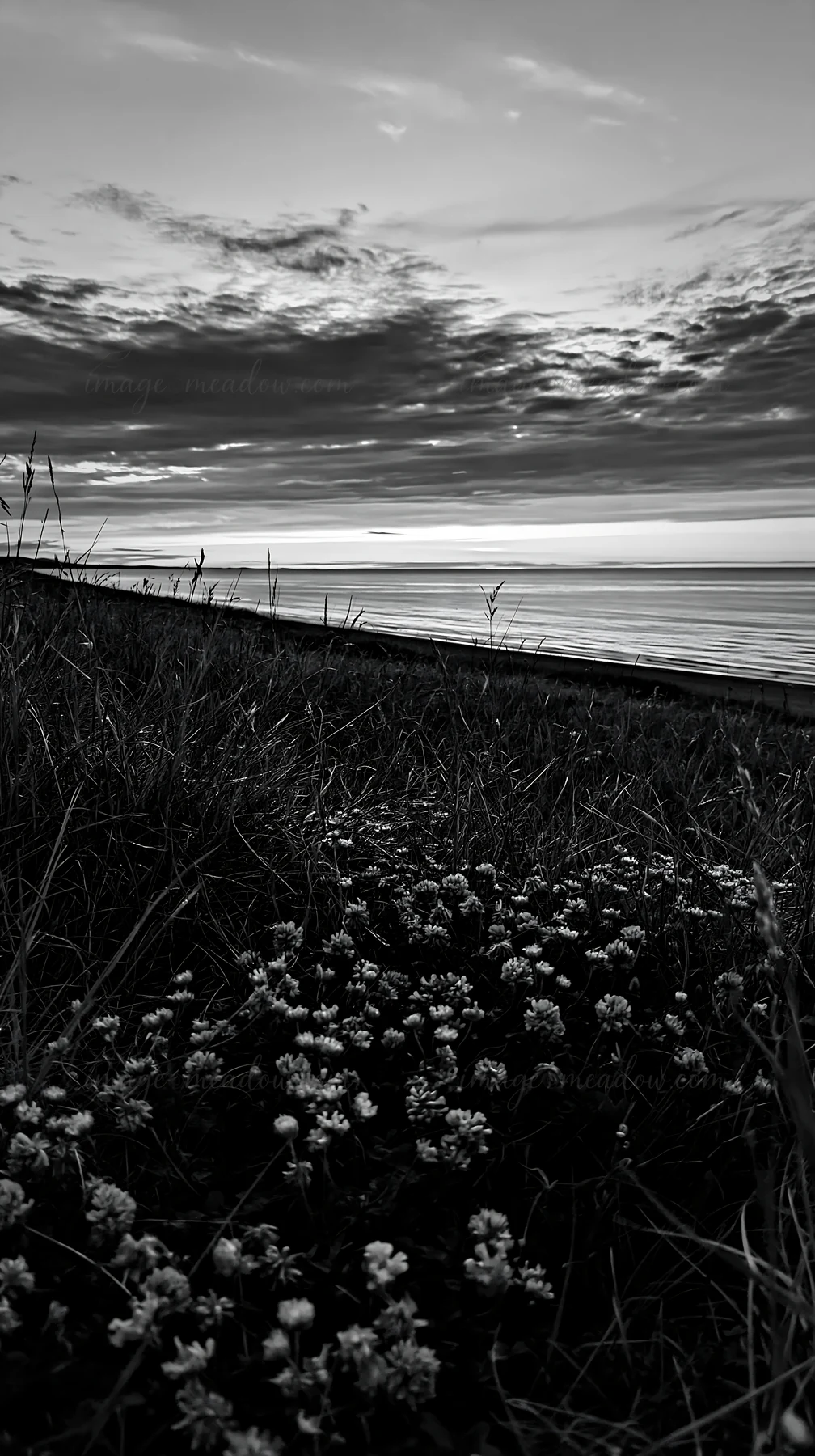 The scene shows a machair beach meadow with white flowers in the foreground. The sea is calm with gentle waves under a cloudy sky. Sunset colors reflect on the