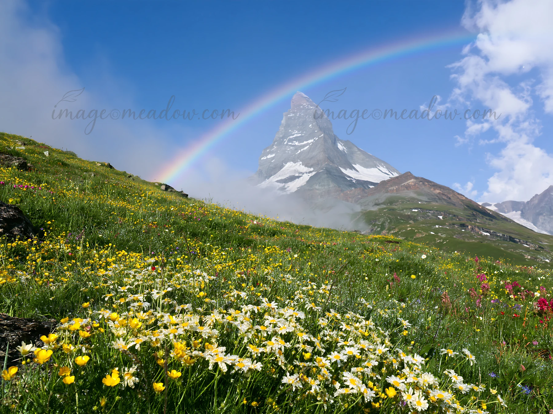 Wildflowers bloom in a meadow near the Matterhorn. A rainbow arcs above the mountain during daytime under a blue sky with clouds. This scene captures the beauty