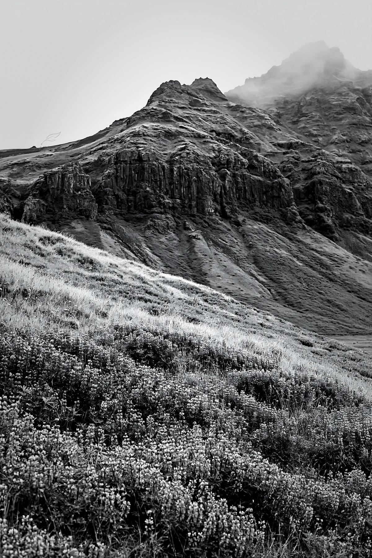 A meadow filled with vegetation lies beneath rocky crags. The scene features a cloudy sky above the mountains, creating a dramatic atmosphere. This landscape sh