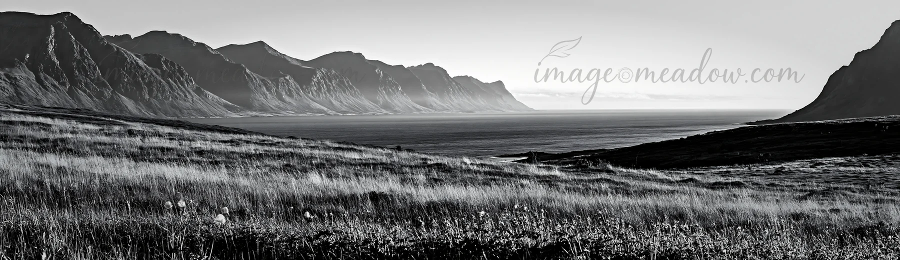 A vast meadow extends under crags, leading to a coastline and ocean. The sunlight highlights the landscape, creating shadows on the grass. Presented as a premiu