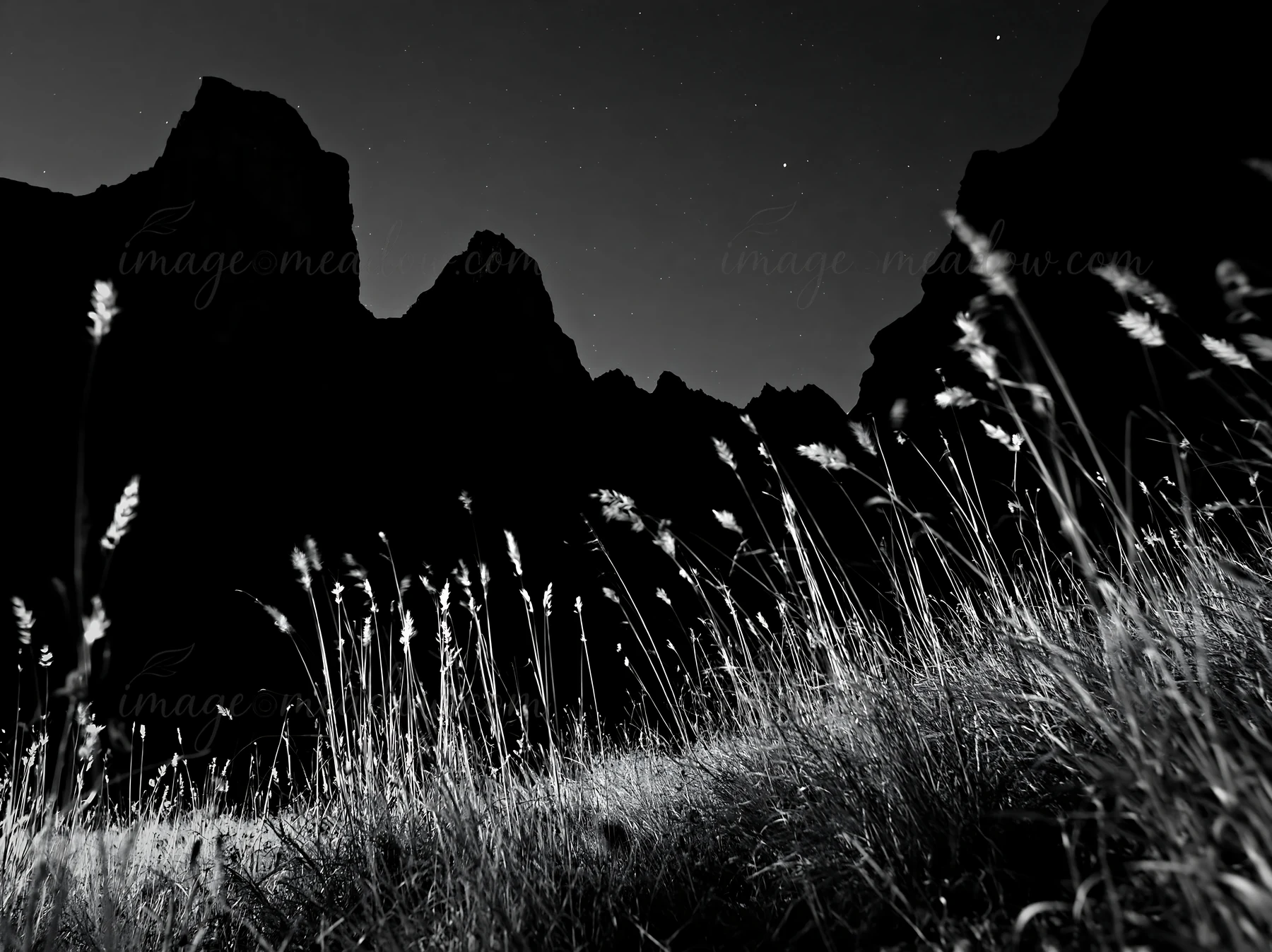 Grass grows in a meadow at the base of crags under a night sky. The scene shows tall blades of grass swaying gently. The craggy mountains rise sharply against t
