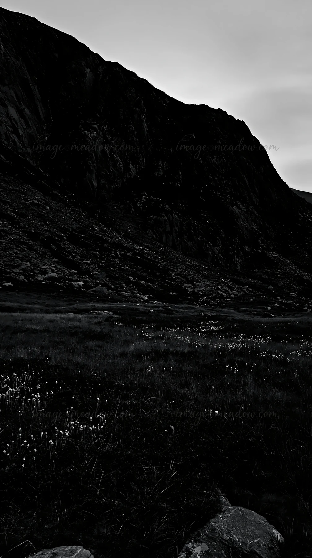 A meadow is visible under dark crags. Small white flowers dot the grassy area. The light is fading, creating shadows on the rocky landscape. The scene captures