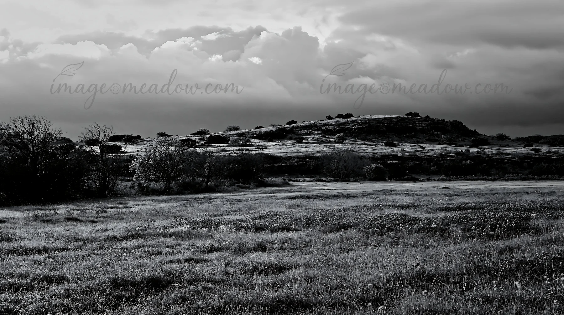 A meadow is covered in dew during the late afternoon. A dark sky with clouds looms over the landscape. Trees are visible in the distance, and the grass appears