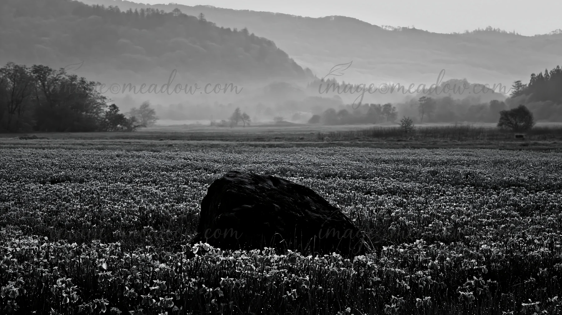 A mossy stone is surrounded by blooming flowers in a meadow. The landscape shows distant mountains and a soft morning light highlighting the scene. Presented as