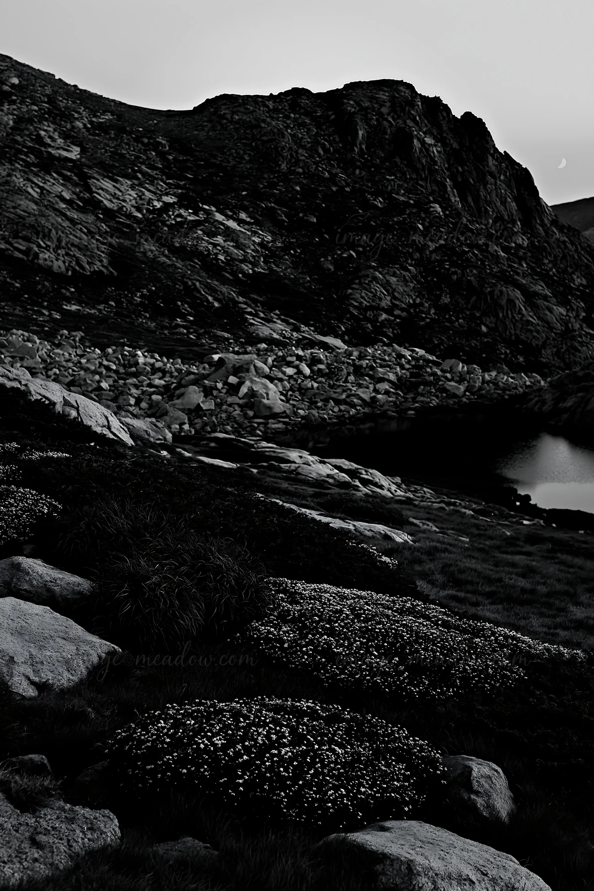 A meadow is illuminated by moonlight, featuring scattered rocks and low vegetation. The hills rise in the background, creating a natural landscape at dusk. The