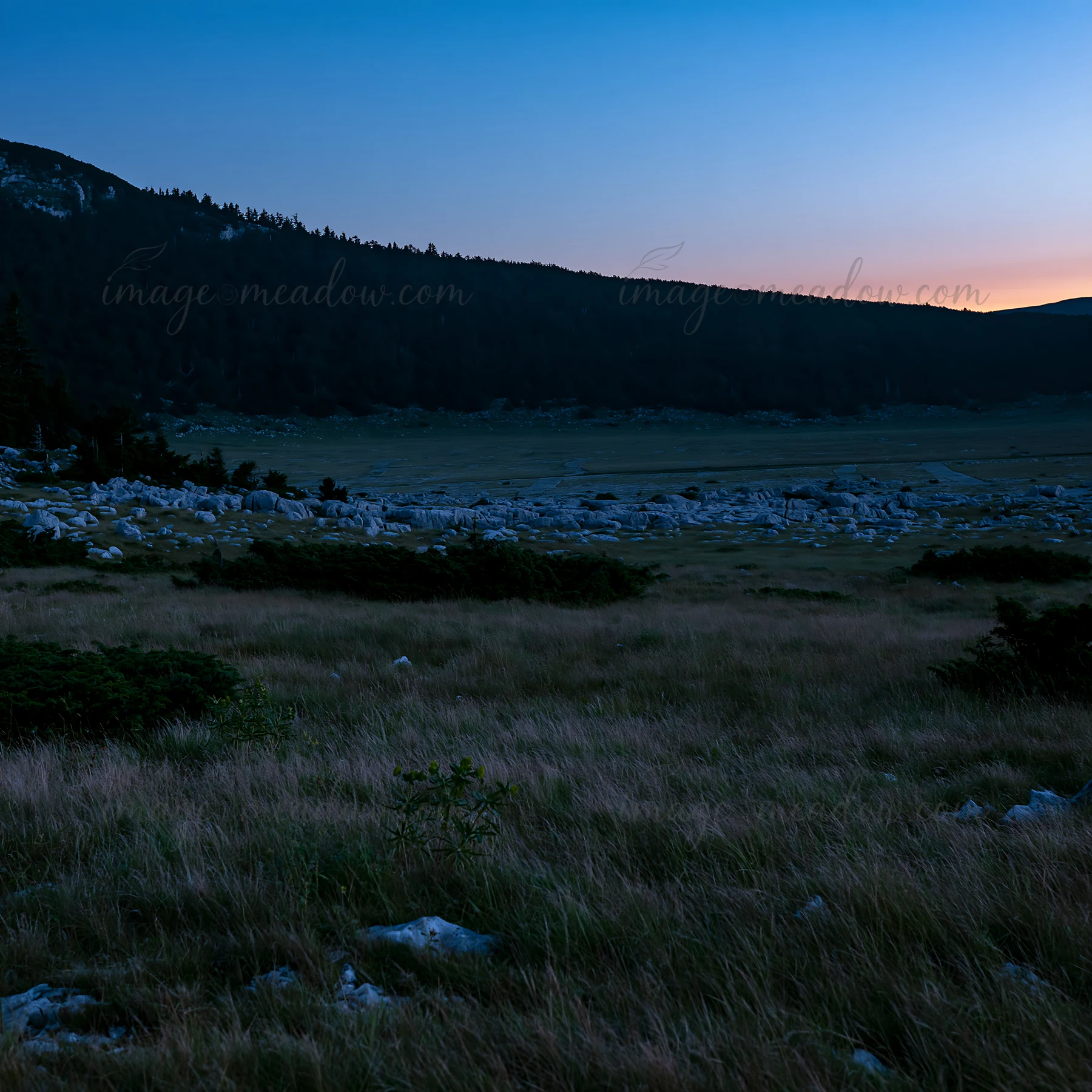 The meadow is vast and open with tall grass. Rocks scatter across the ground. A dark silhouette of a mountain stands in the background under a fading blue sky.