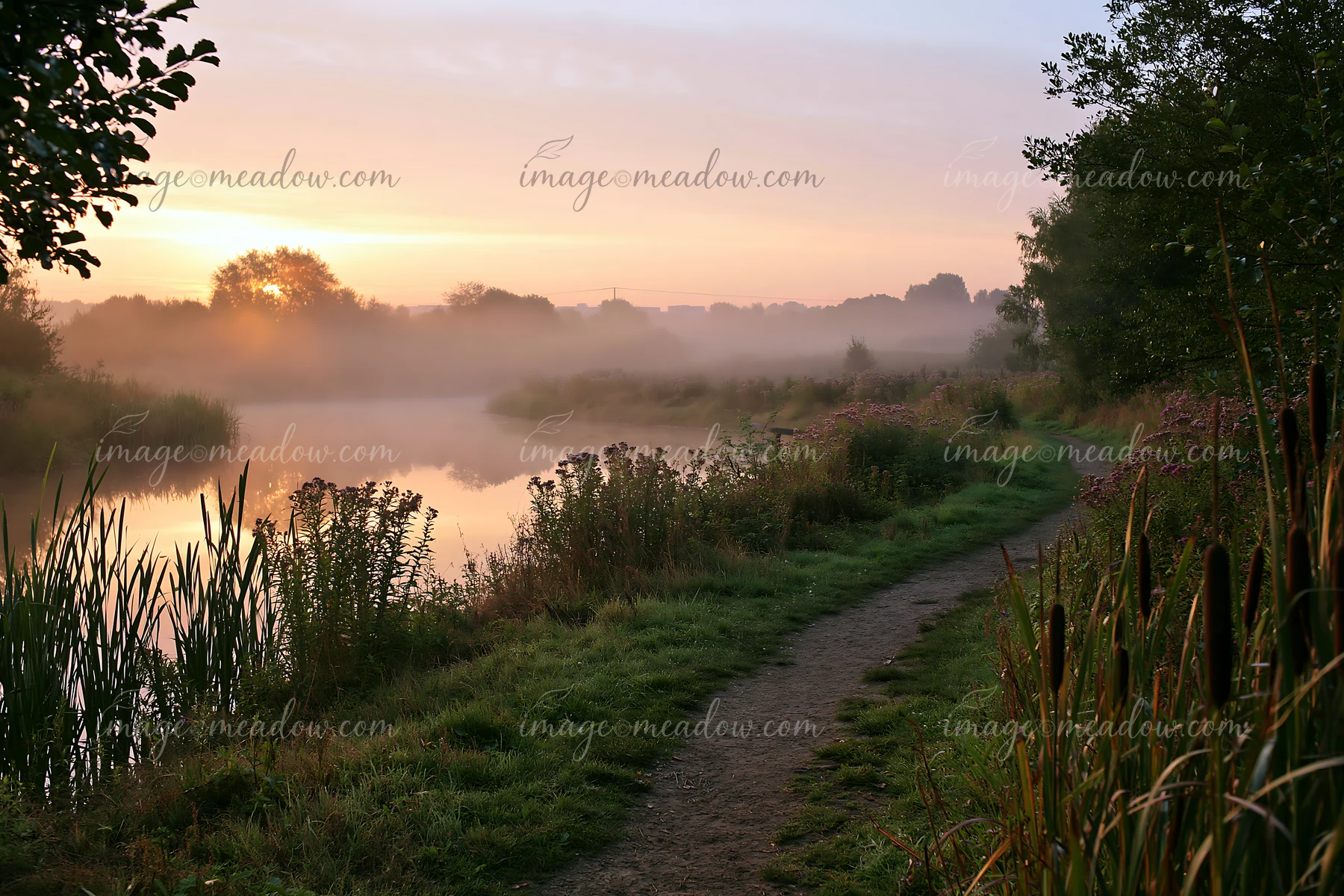 Morning light breaks through fog as the sun rises over a natural pond, with flowers lining the water's edge and a dirt path winding through the landscape near t