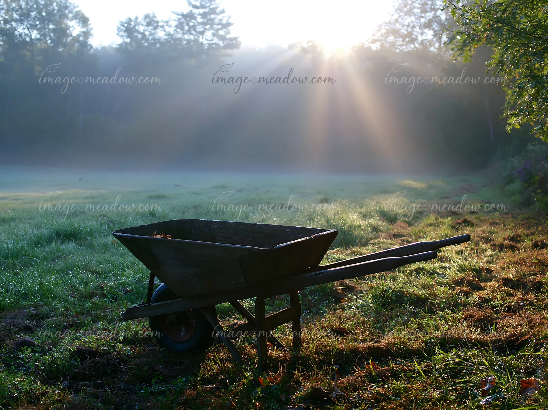 Morning sunbeams over a misty meadow highlight a wheelbarrow resting on the grass.