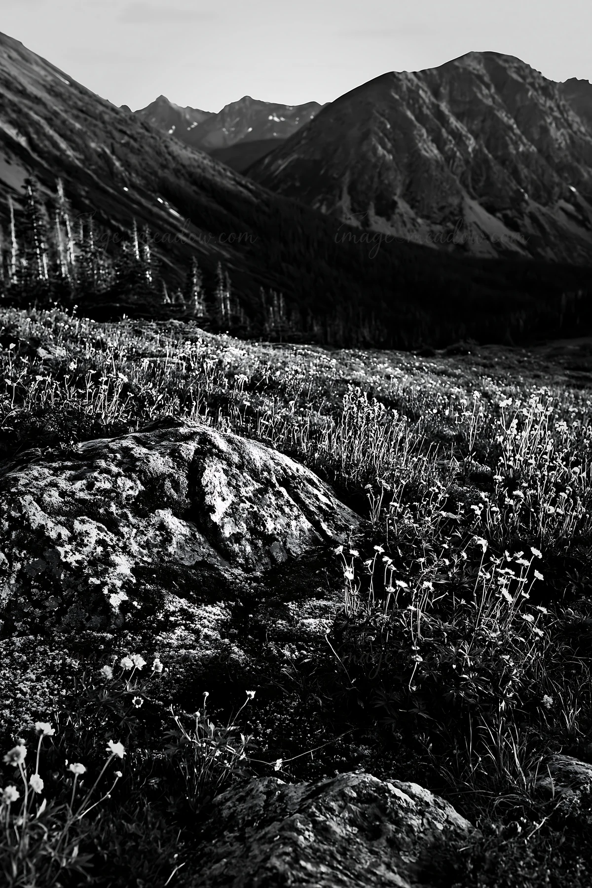A boulder covered in moss sits in a meadow filled with flowers and grass, surrounded by mountains under a clear sky during sunset. The scene showcases natural b
