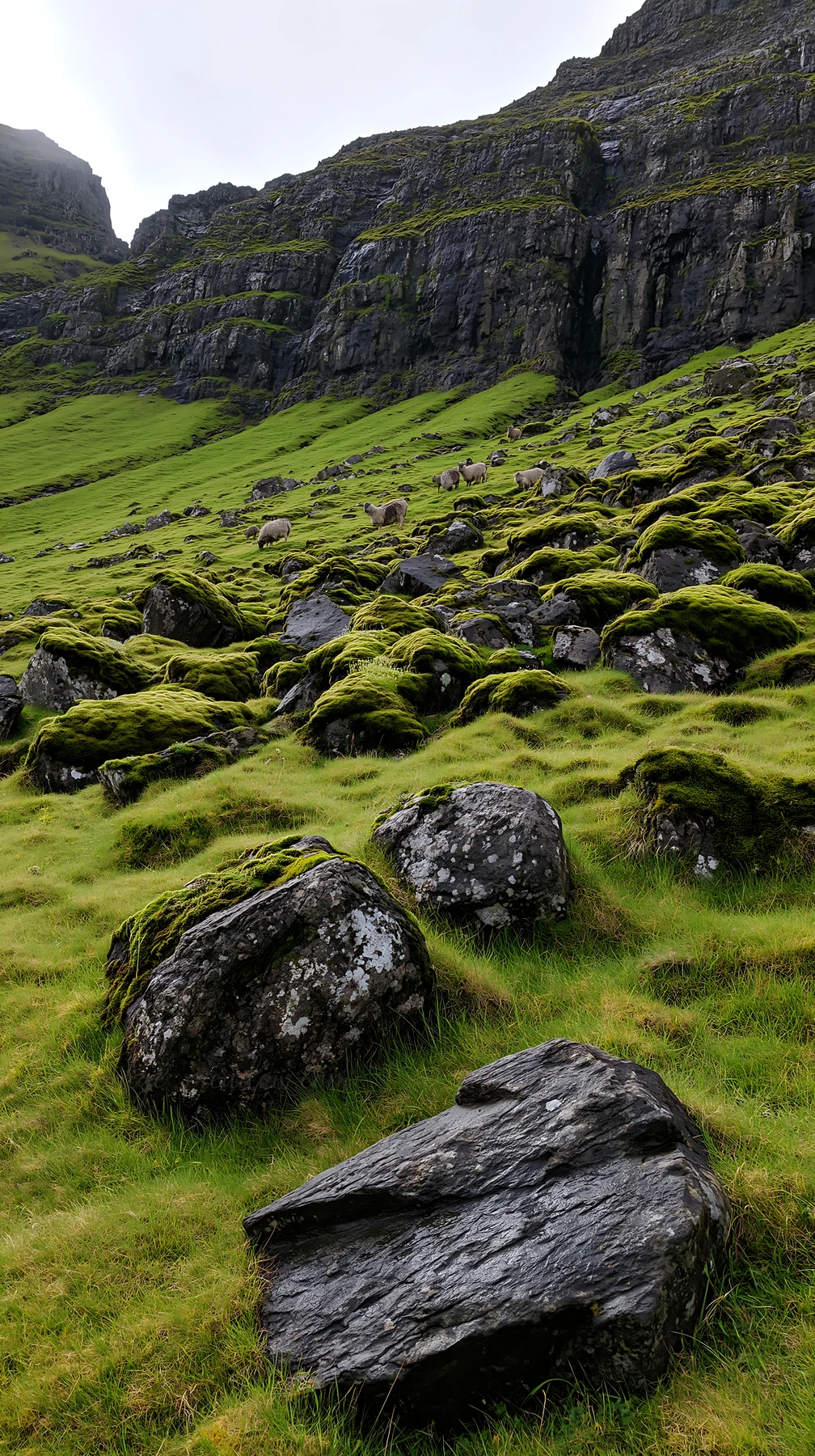 A meadow features several large boulders covered in moss, surrounded by green grass. The rocky hillside in the background completes the natural scene.