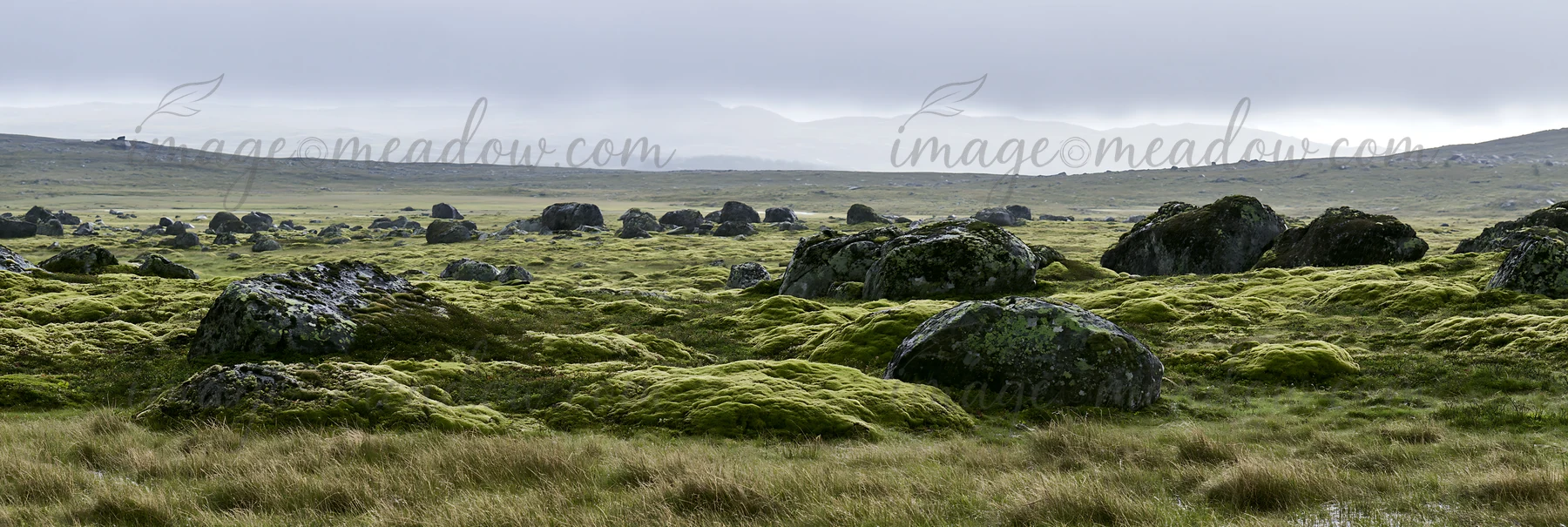 Moss-covered boulders are present in a wide meadow with grass and soft terrain. The scene is set under a cloudy sky, showcasing a natural landscape of stones an