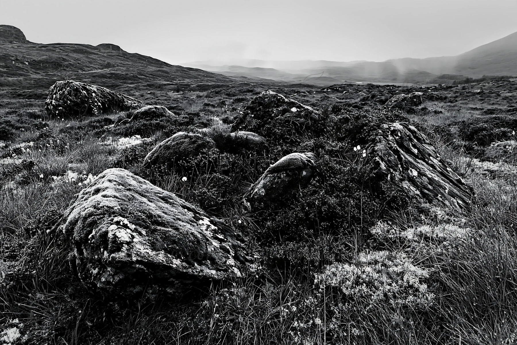 Moss-covered boulders are scattered across a meadow in a remote landscape. The terrain features rolling hills and a cloudy sky, creating a moody atmosphere of n