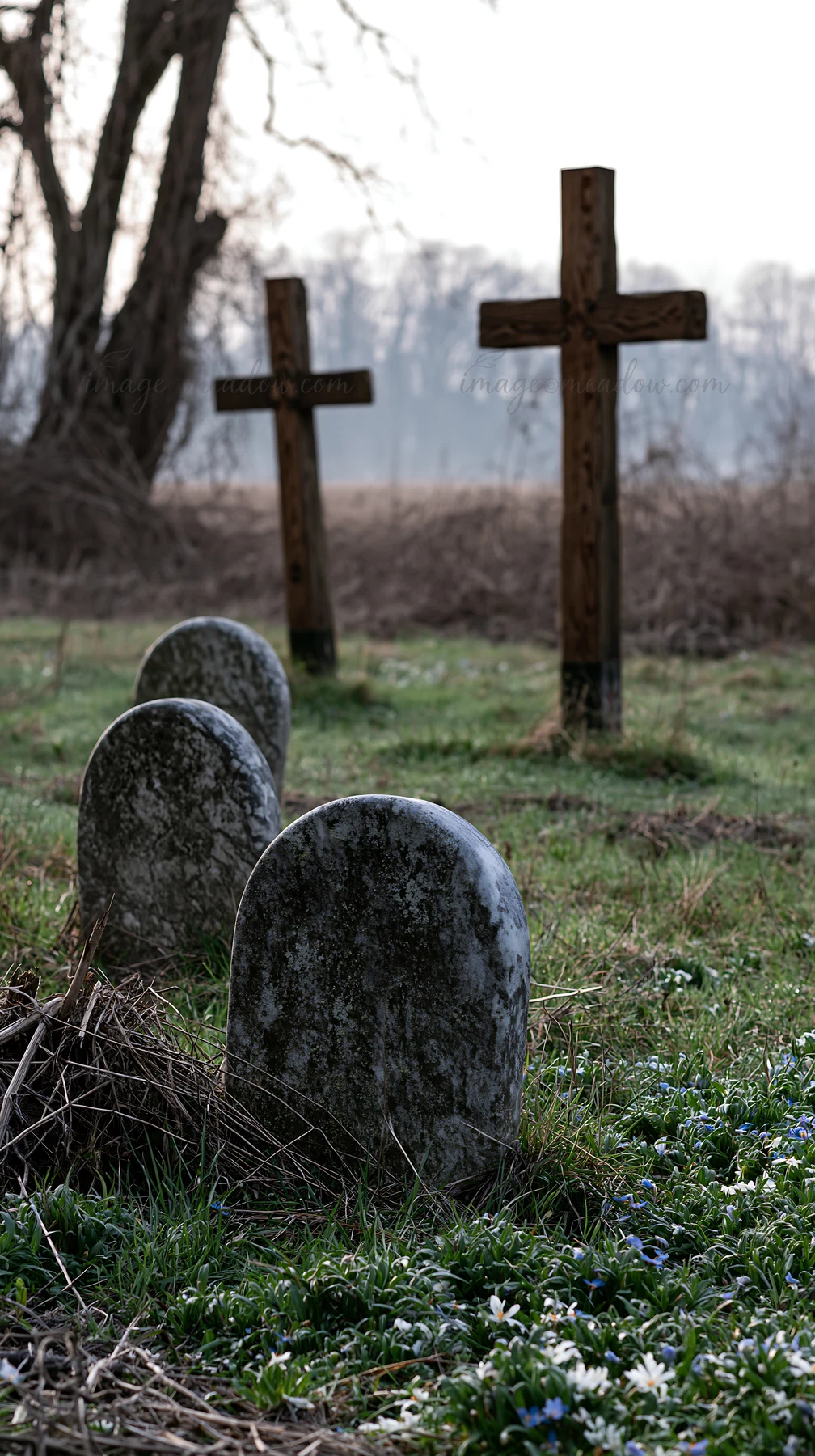 A field features multiple wooden Christian crosses surrounded by grass and small flowers. The scene shows gravestones nearby, indicating a quiet setting during