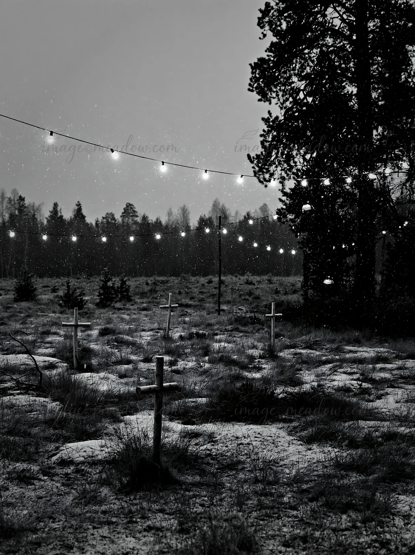 Crosses stand in a snowy meadow surrounded by trees. Soft lights hang above, creating a contrast with the darkness. Snowflakes fall gently, adding a serene touc