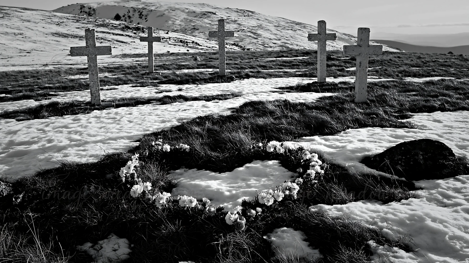 Five Christian crosses stand in a snowy meadow. A heart-shaped arrangement of flowers is in front of the crosses, set against a backdrop of mountains. The scene