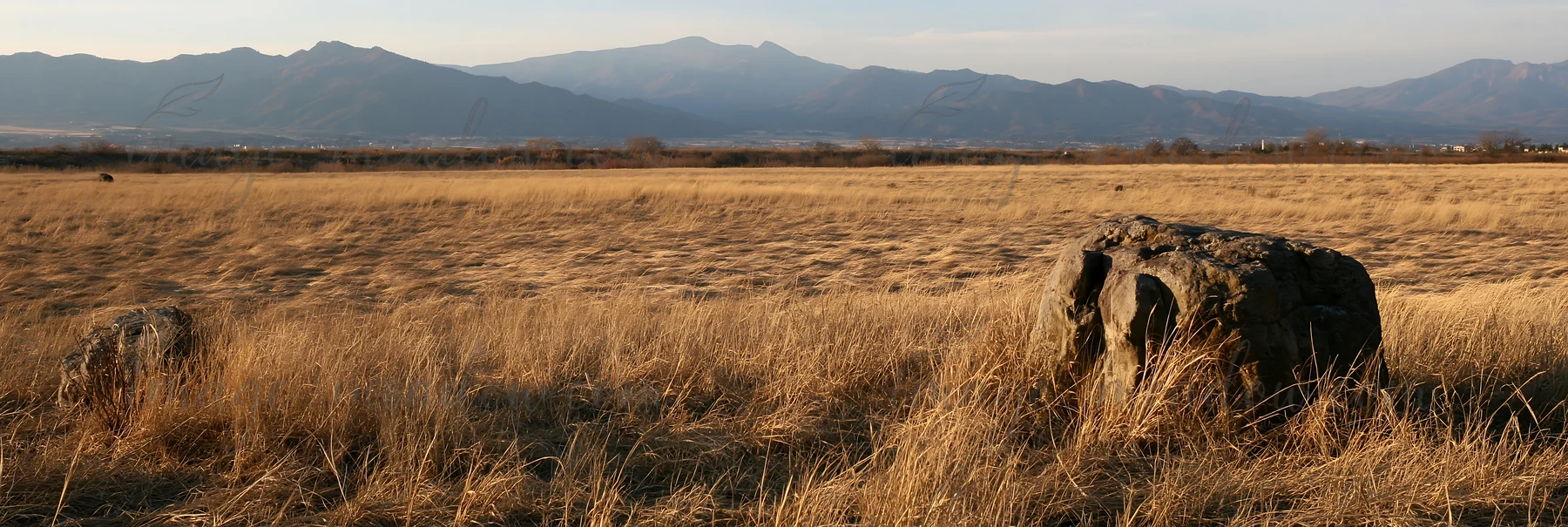The scene shows a granite boulder in a dry meadow setting in Nagano. Tall grasses surround the boulder with mountains in the background under clear skies.