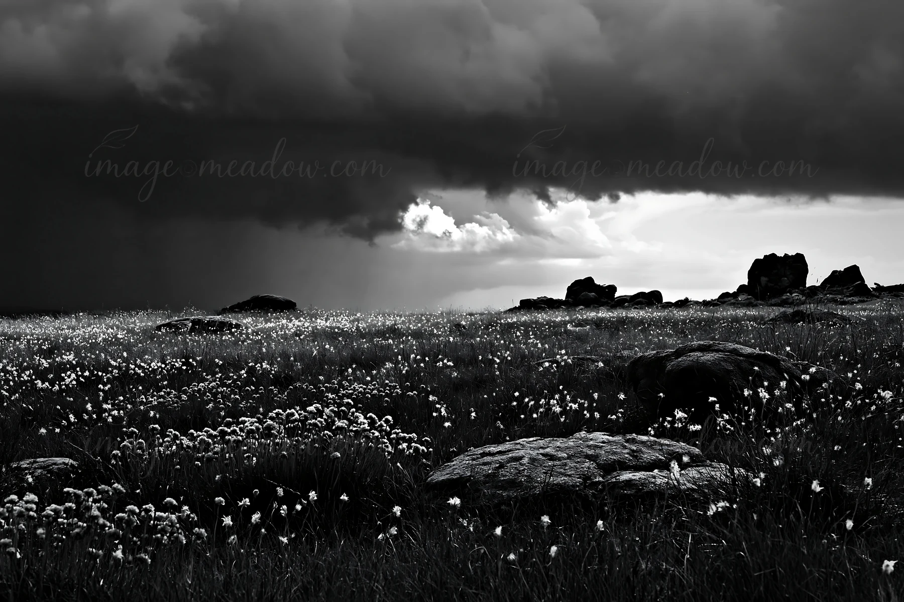 A highland meadow in Oita features granite stones scattered across the land. Small white flowers grow among the grass. Dark clouds loom above, hinting at an app