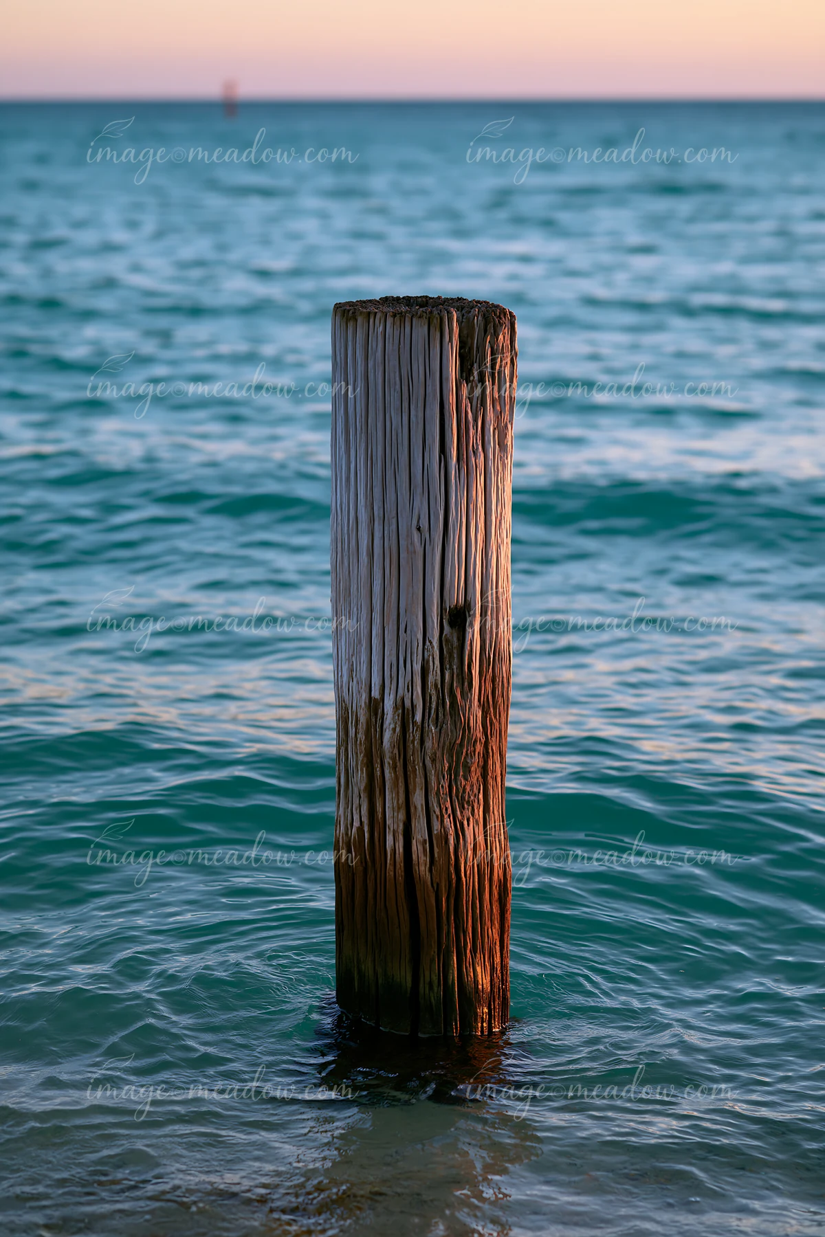 Old wooden piling against a turquoise horizon shows the structure standing in clear water.