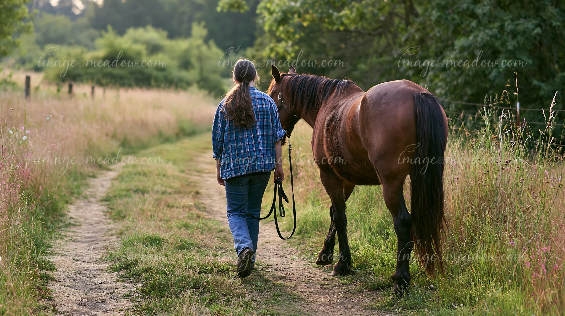 Person walking beside a brown horse on a dirt trail through a sunny meadow and wooded landscape.