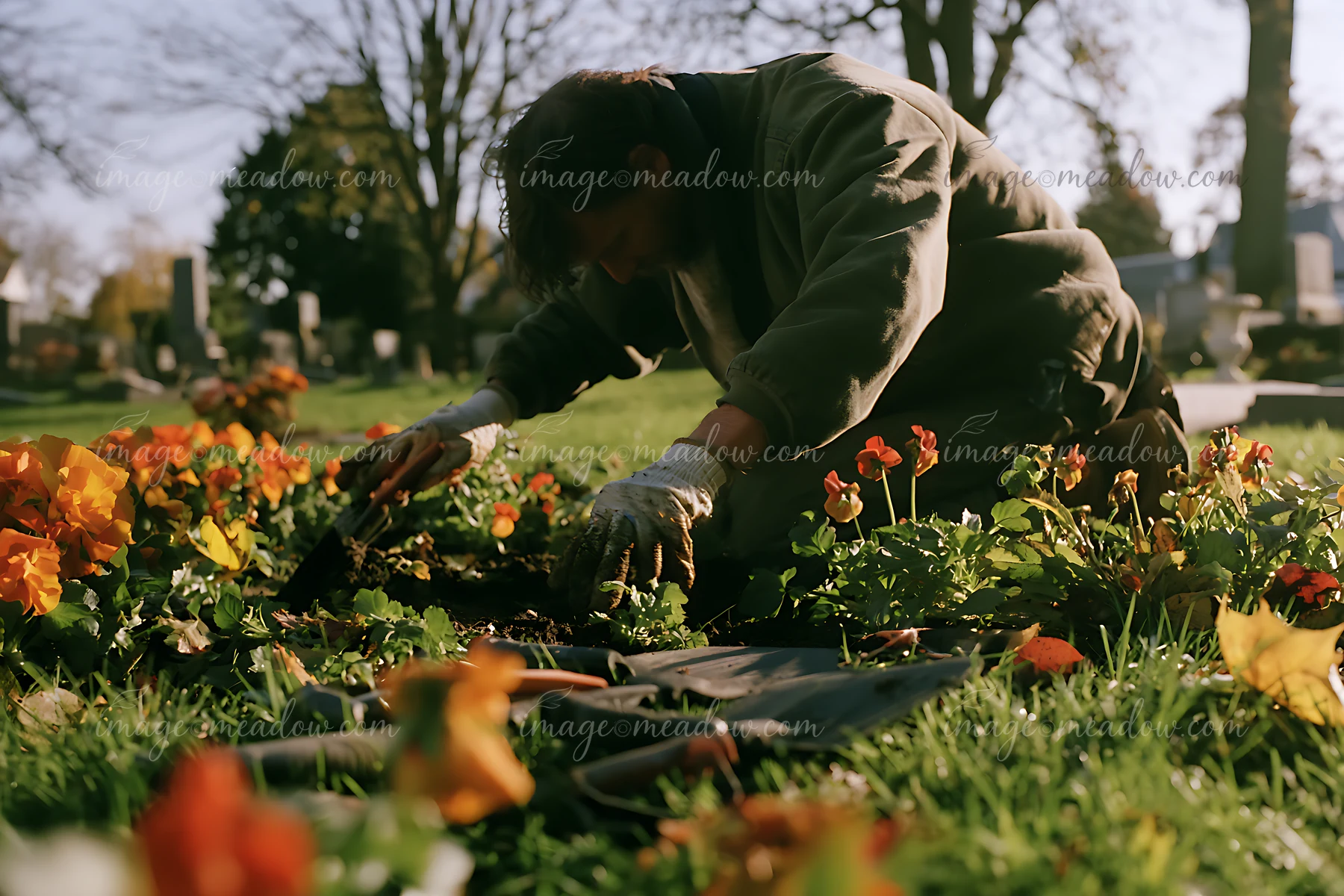 Person wearing gloves plants colorful autumn flowers at a grave in a sunlit cemetery.
