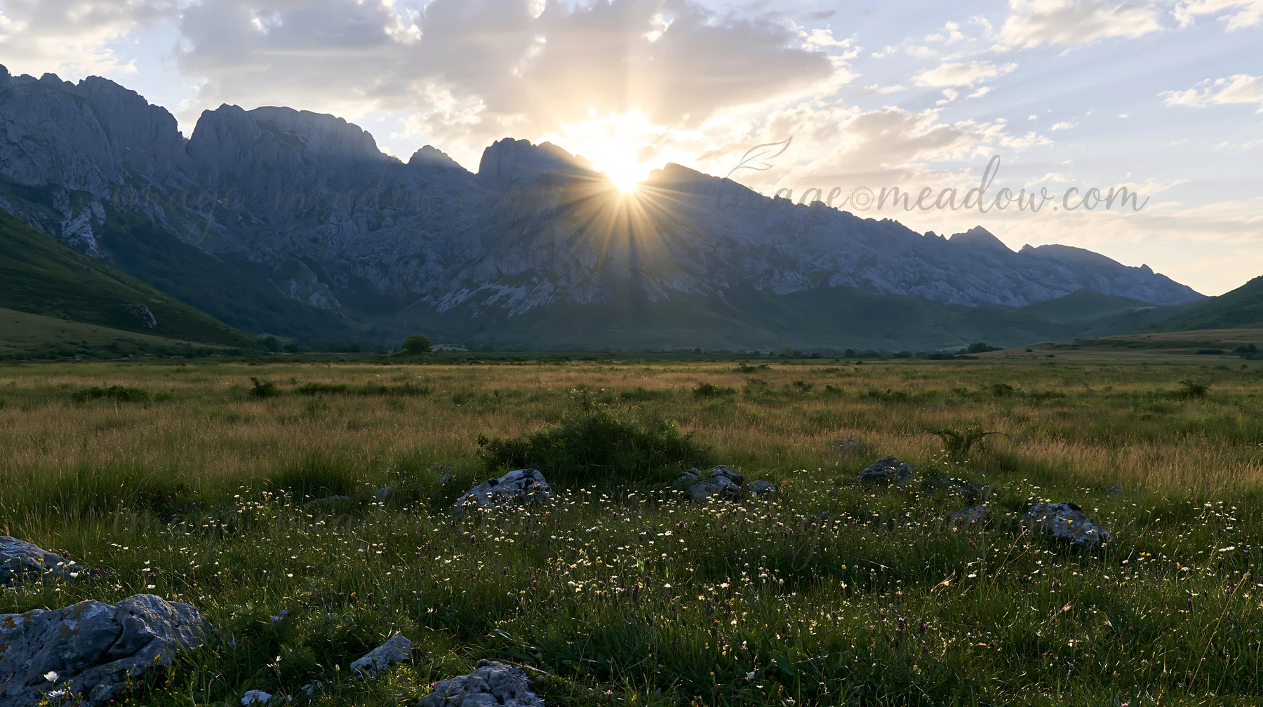 Sun rays illuminate a grassy meadow in Picos de Europa during morning hours. The mountains rise majestically in the background, creating a natural landscape fil