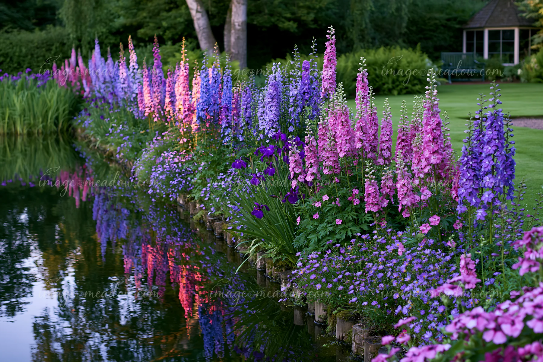 Pink and purple delphiniums form a garden border beside a pond, with colorful reflections and a gazebo in the background.