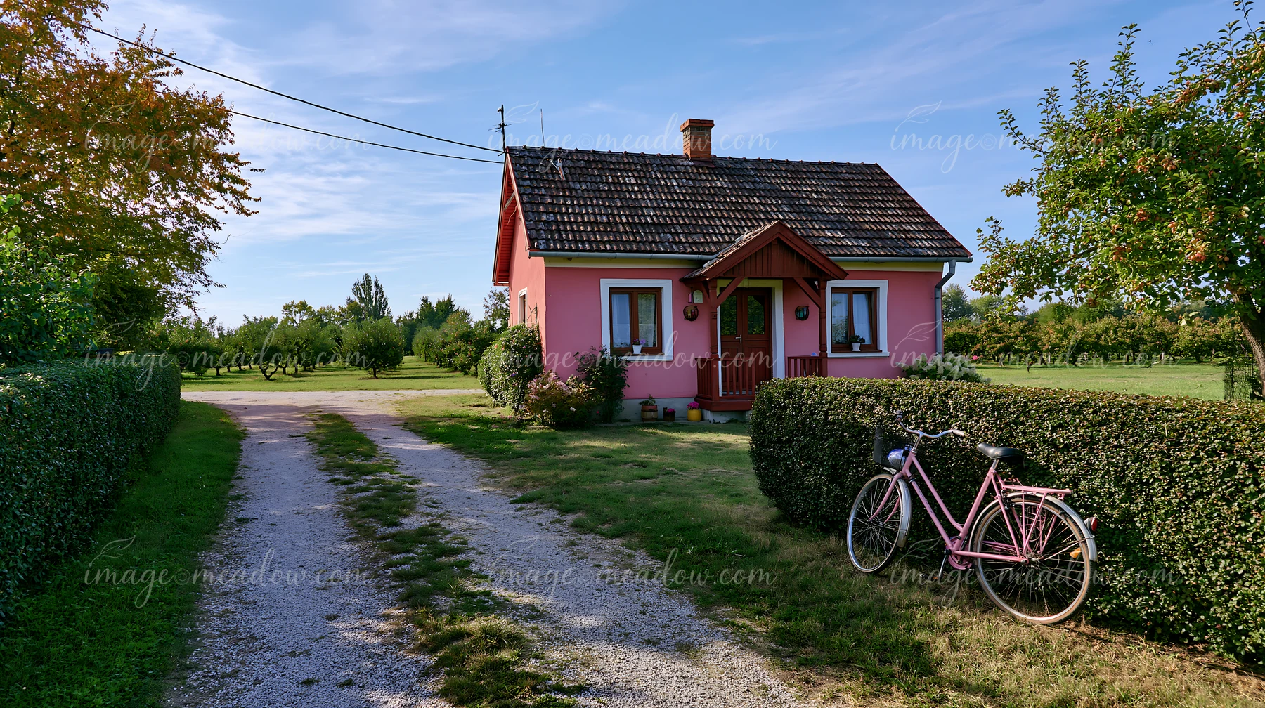 Pink country home with a bicycle outside beside a gravel driveway, orchard, and neatly trimmed hedges.
