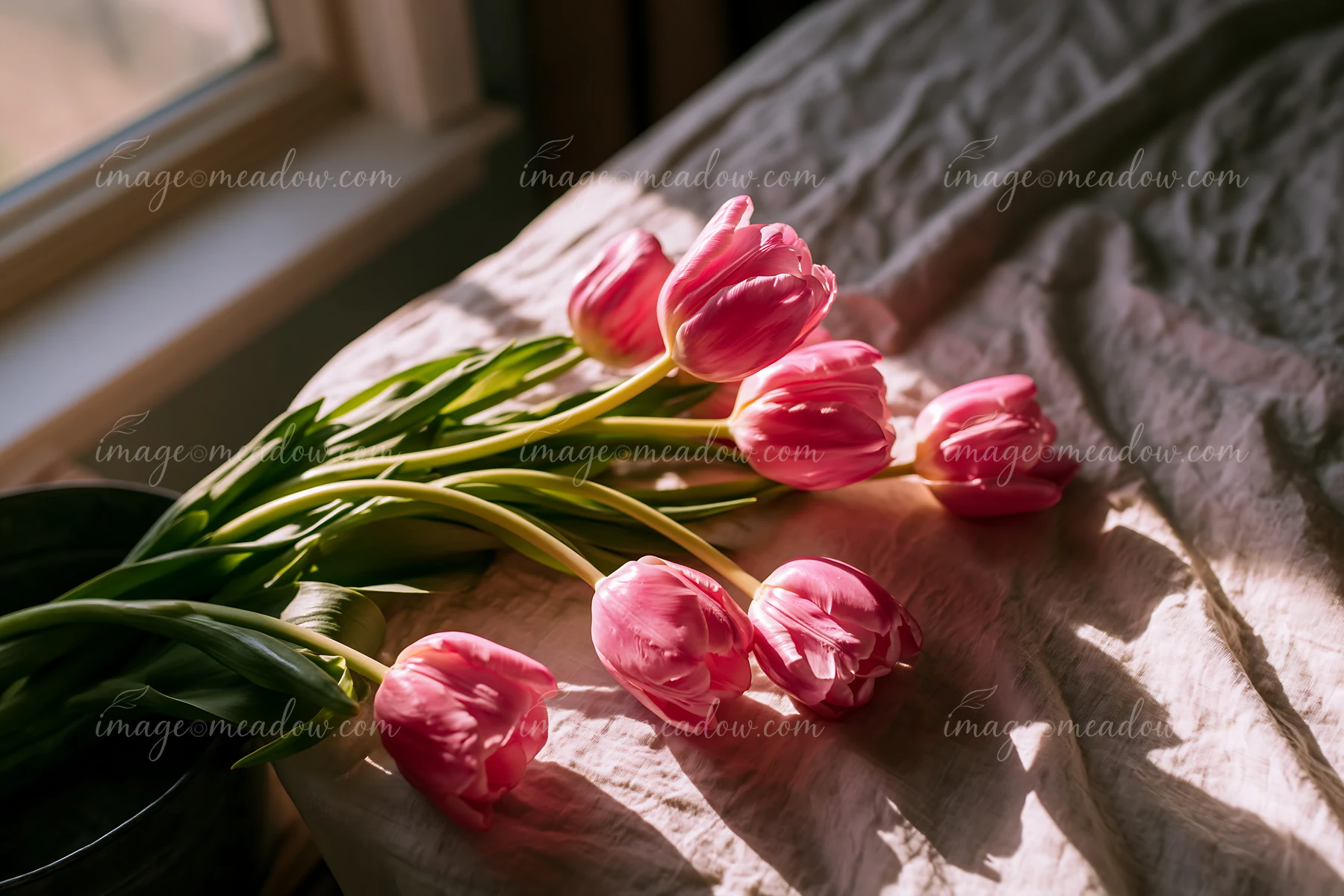 Pink tulips lie on a rumpled bedspread beside a window, illuminated by warm sunlight.