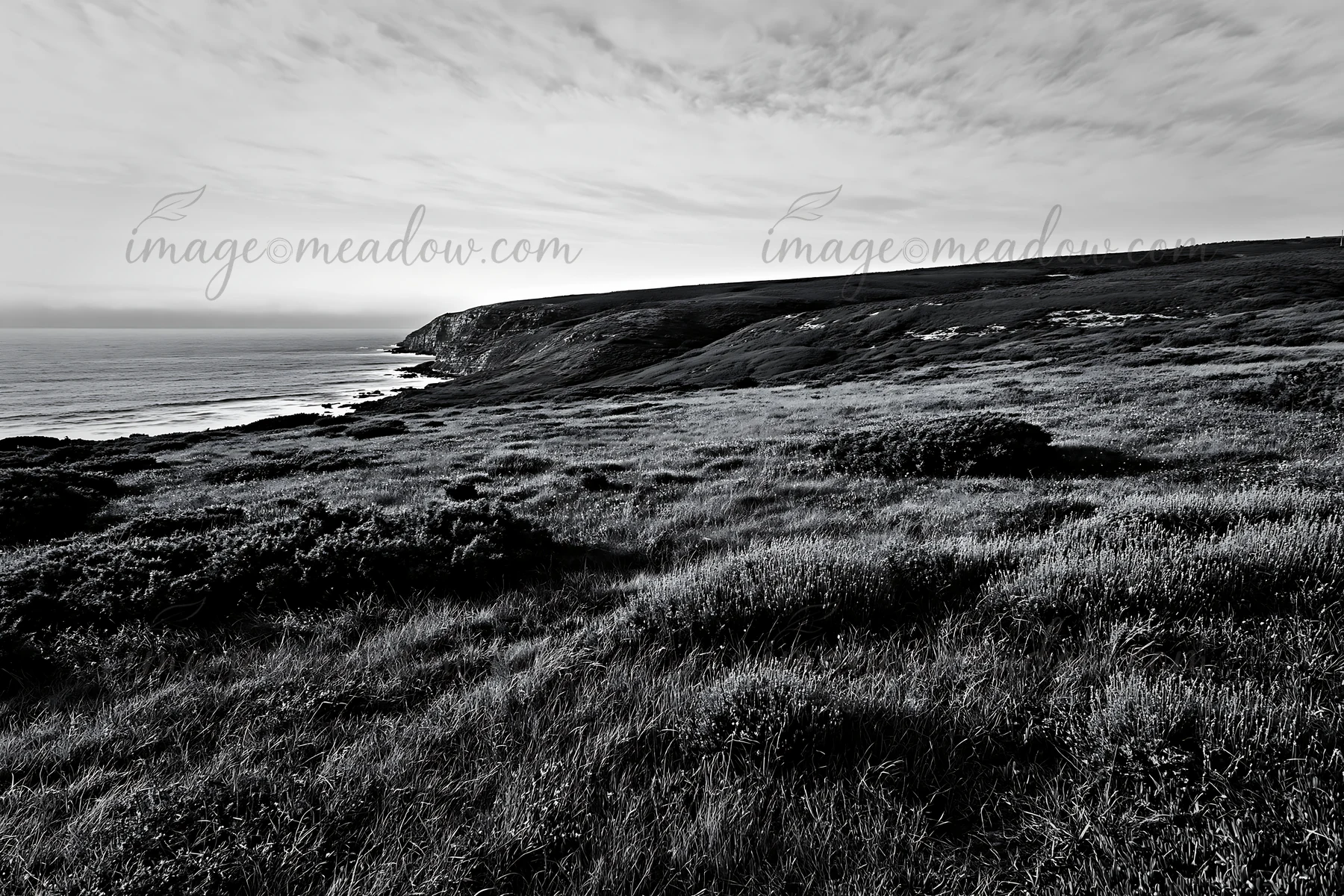 The view shows a meadow stretching over a hillside near the Atlantic coast in Portugal. Grass and shrubs cover the land as the coast and ocean are visible in th