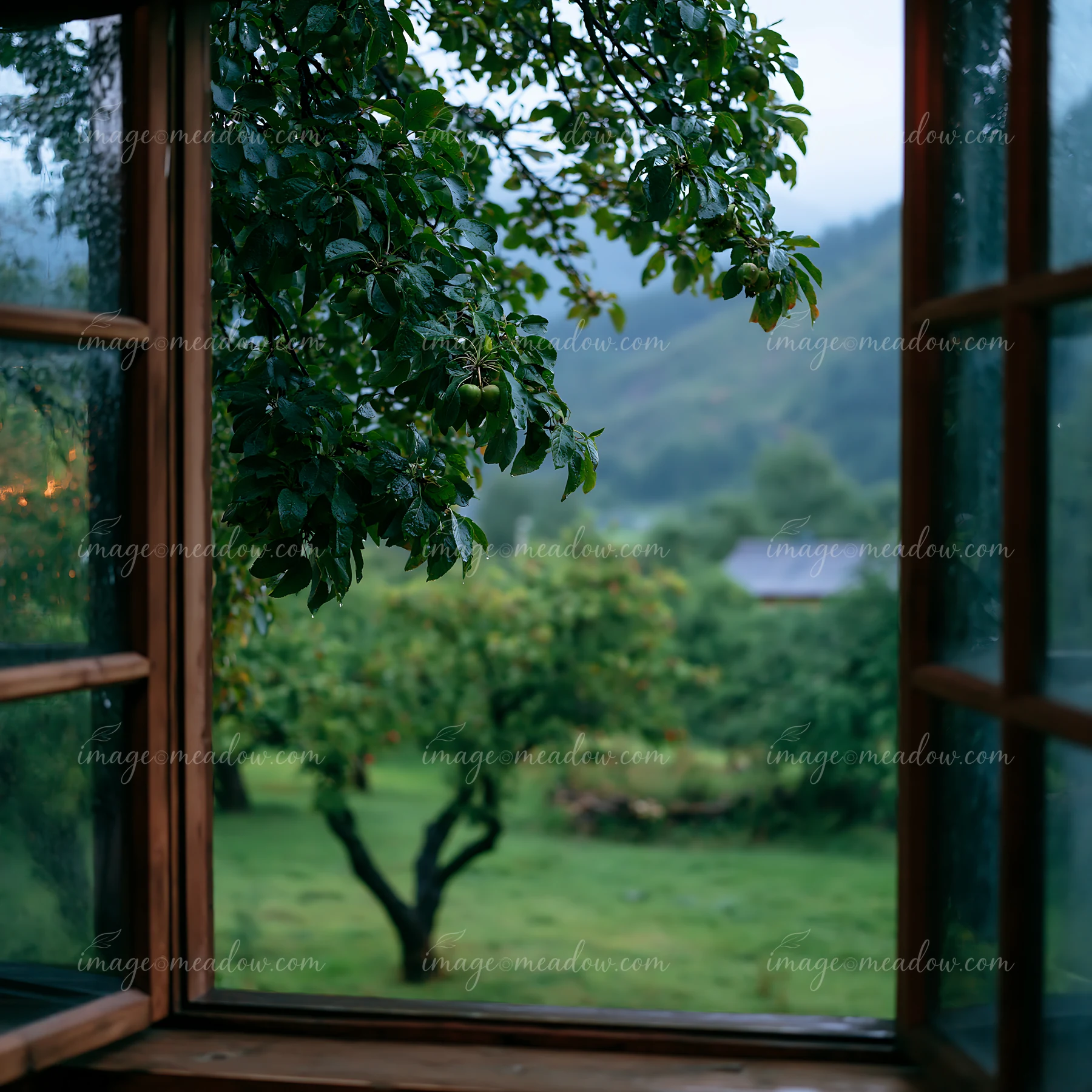 Raindrops cover a cabin window, revealing a mountain landscape with trees and greenery outside.