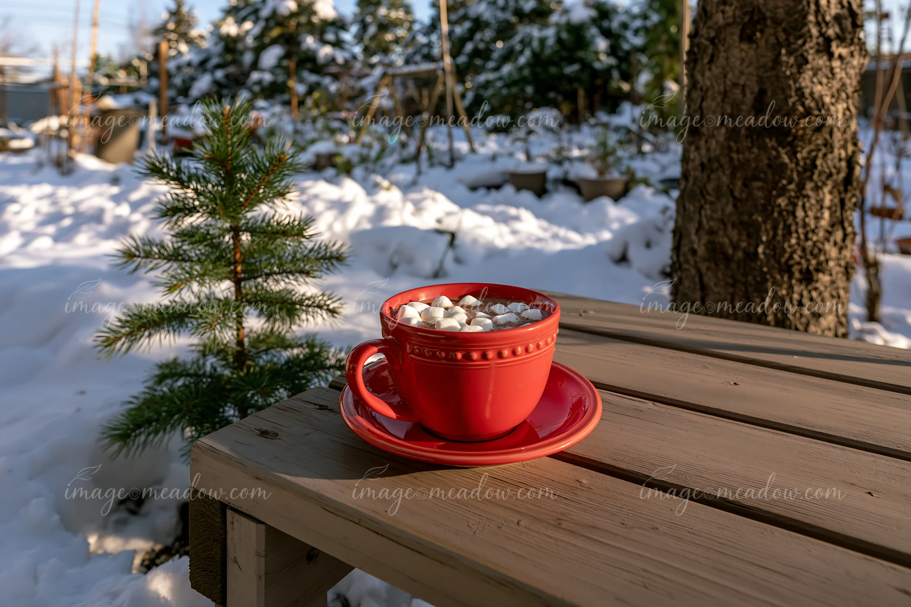 Red cup of cocoa topped with marshmallows on a wooden table beside a tree in a snowy outdoor setting.