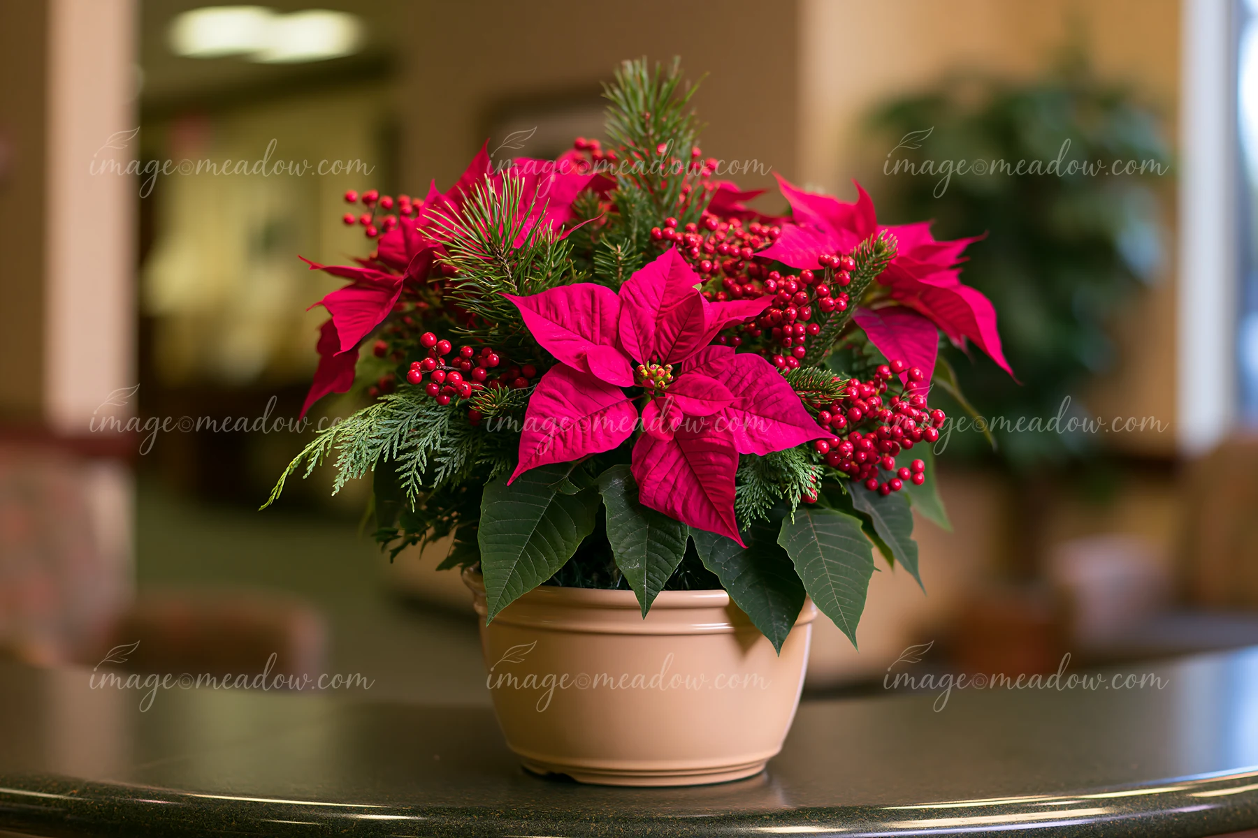 Red poinsettias, evergreen branches, and berries form a Christmas arrangement in a ceramic pot indoors.