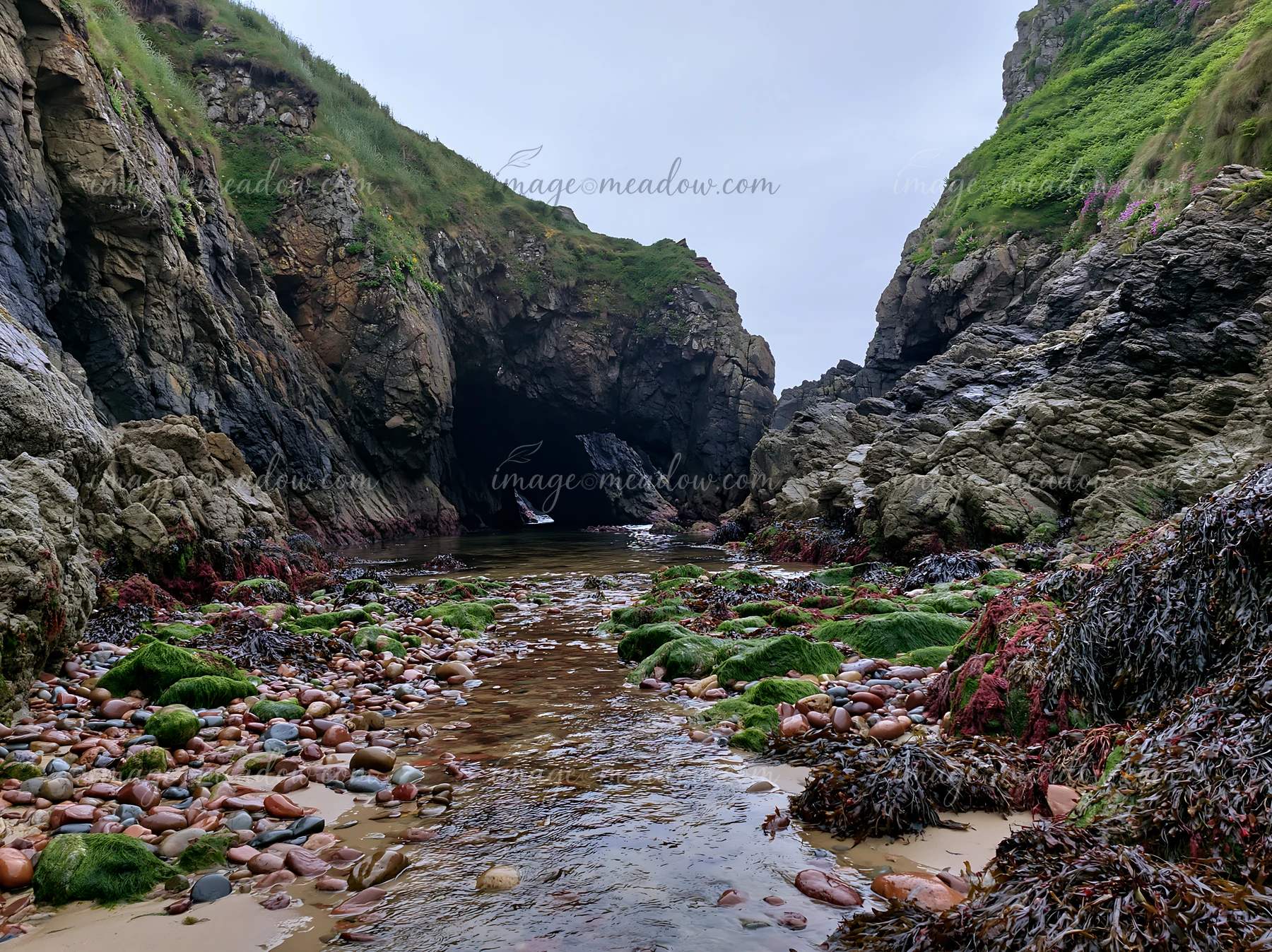 Rocks and seaweed line the shoreline as a stream flows toward the ocean.