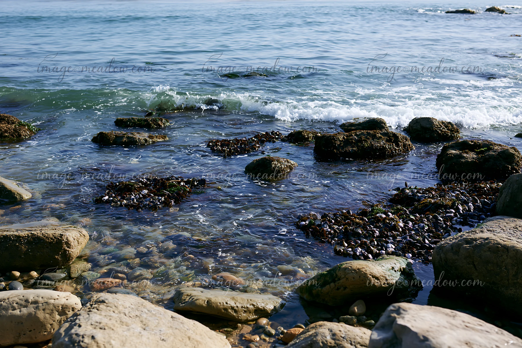 Rocky coastline with waves washing over mussel-covered rocks and shallow intertidal pools.