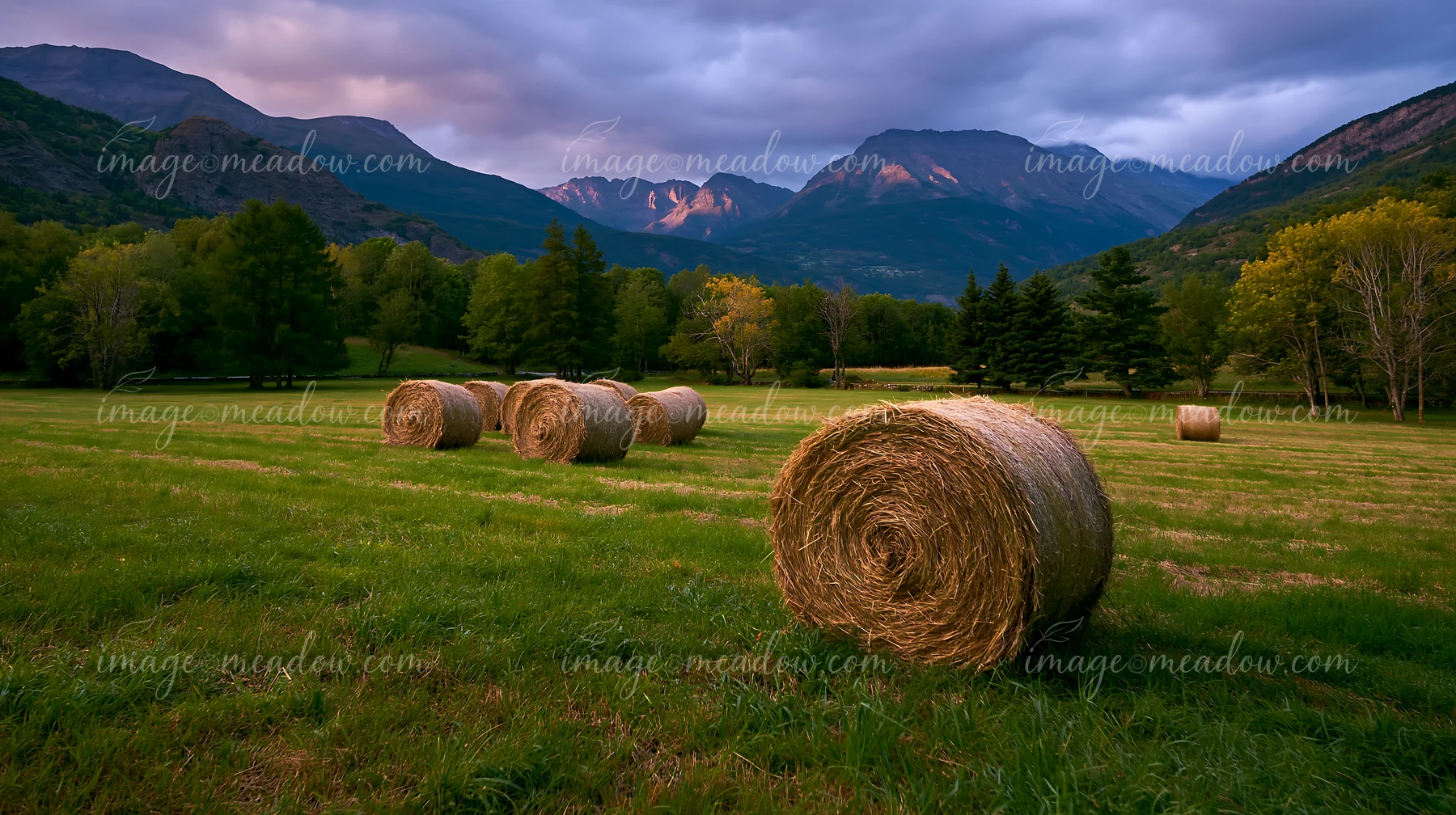 Rolling hay bales are set against a backdrop of mountains and trees in Switzerland as the golden hour light casts shadows across the field.