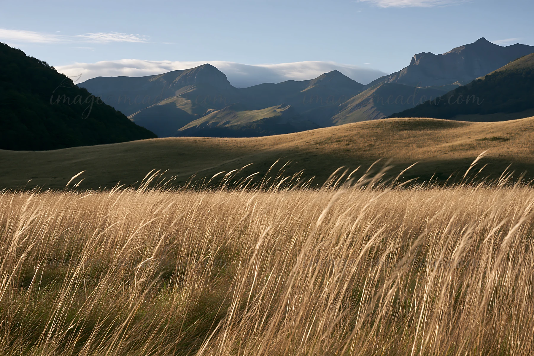 Tall grass sways in the valley meadows. Mountains rise in the distance. The scene captures natural beauty with clear skies and sunlight illuminating the landsca
