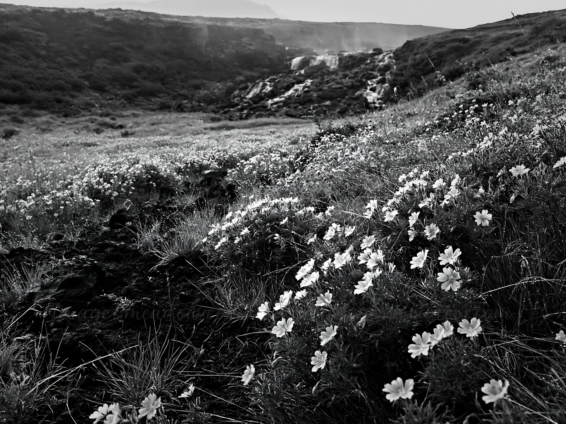 Flowers cover the ground in a meadow near a waterfall. The scene shows a mix of nature with the soft spray from the waterfall creating a gentle atmosphere. Moun