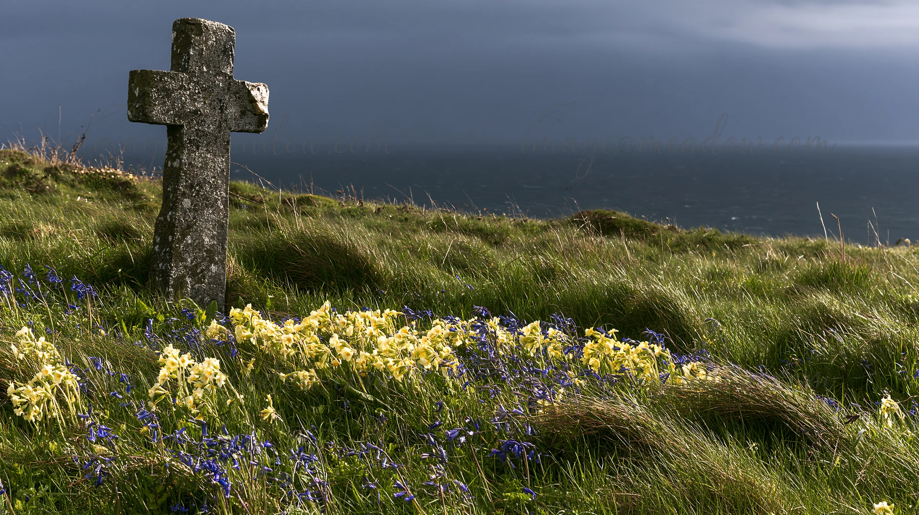 A rustic Christian cross stands in a winter meadow surrounded by wildflowers. The landscape features grass and a distant view of the ocean under a cloudy sky.
