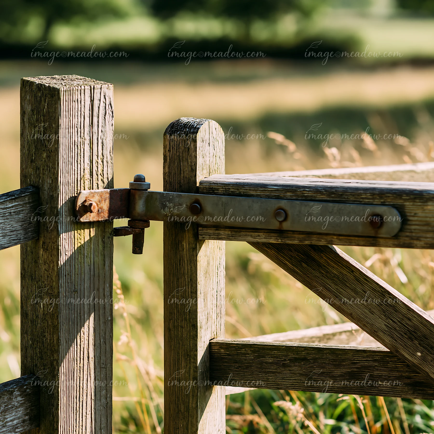 Rustic wooden fence gate with a metal latch in a sunlit meadow