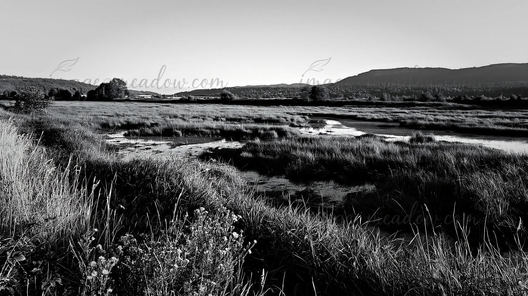 The scene shows a vast floodplain meadow with reeds in the foreground and water flowing through the grassy areas. The setting features gentle hills in the backg