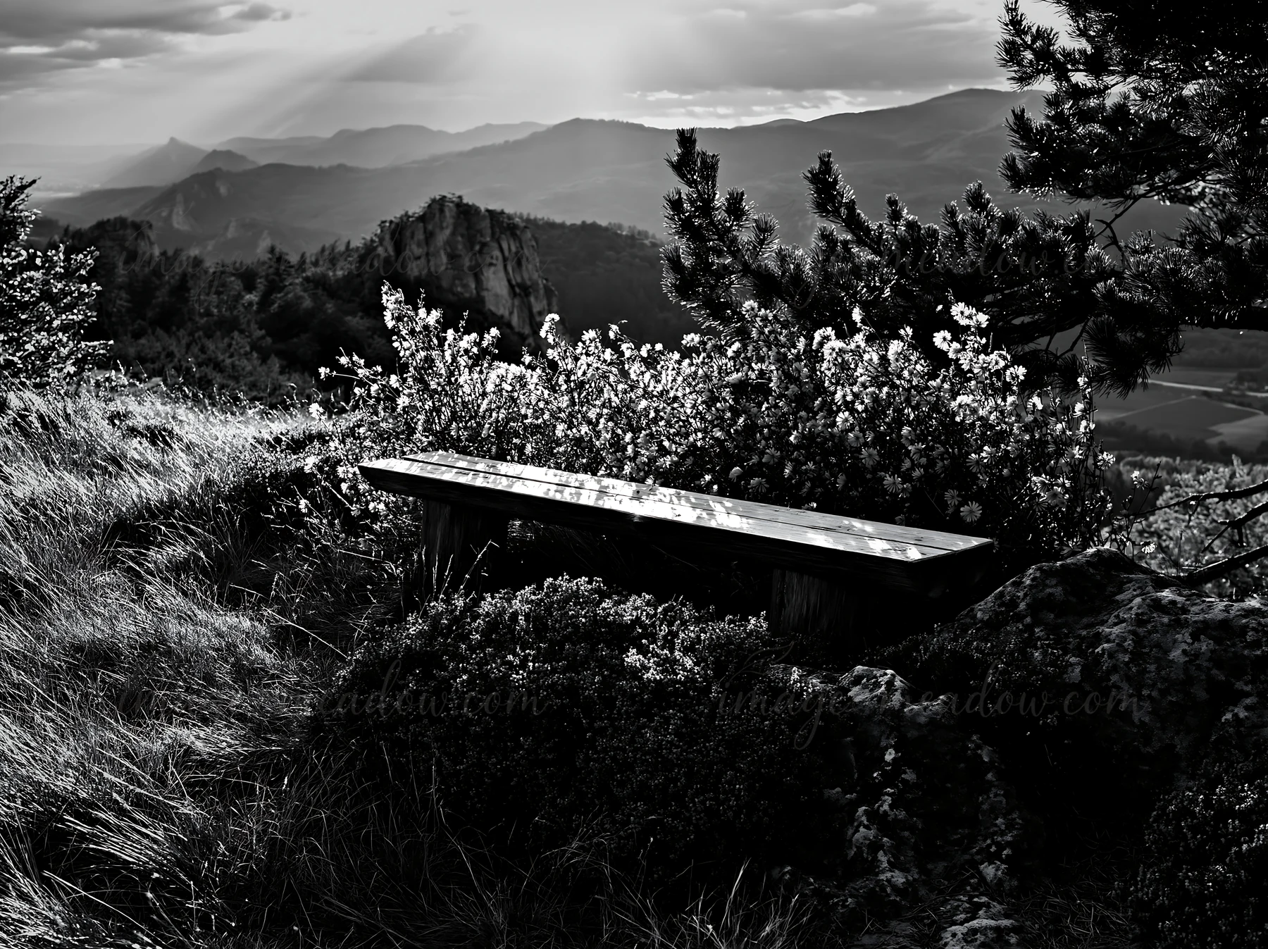 A wooden bench is surrounded by flowers in a meadow. The scene captures a view of distant mountains under a cloudy sky. Light filters through the clouds at suns