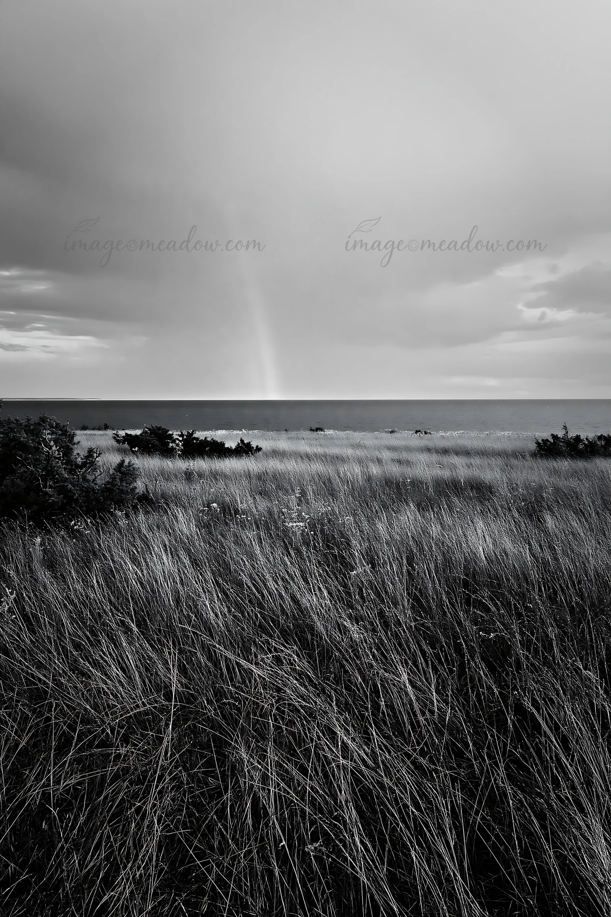 Tall grass fills the foreground with a view of the sea in the distance. A rainbow appears in the sky above the water after rainfall. Clouds loom overhead as the