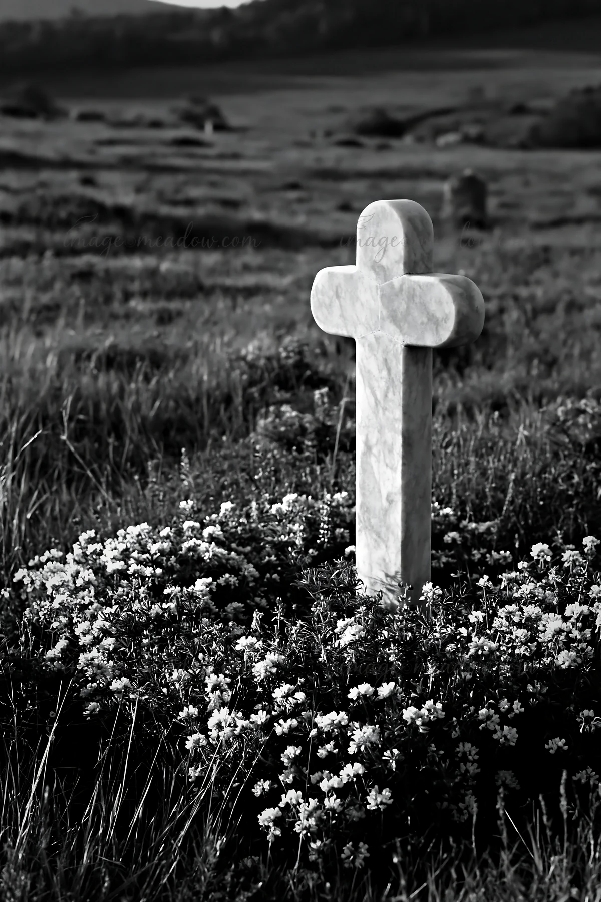 A plain Christian cross stands among wildflowers in a quiet meadow. The scene captures the stillness of the landscape, with grass and flowers surrounding the cr