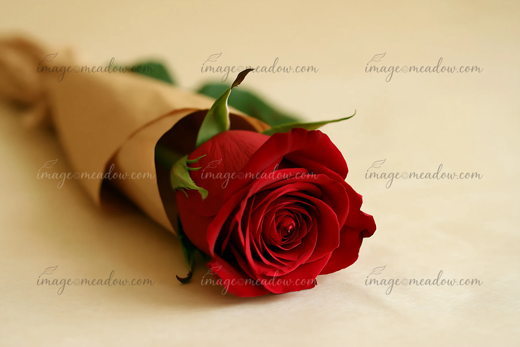Single red rose wrapped in brown paper on a neutral beige surface with generous copy space.