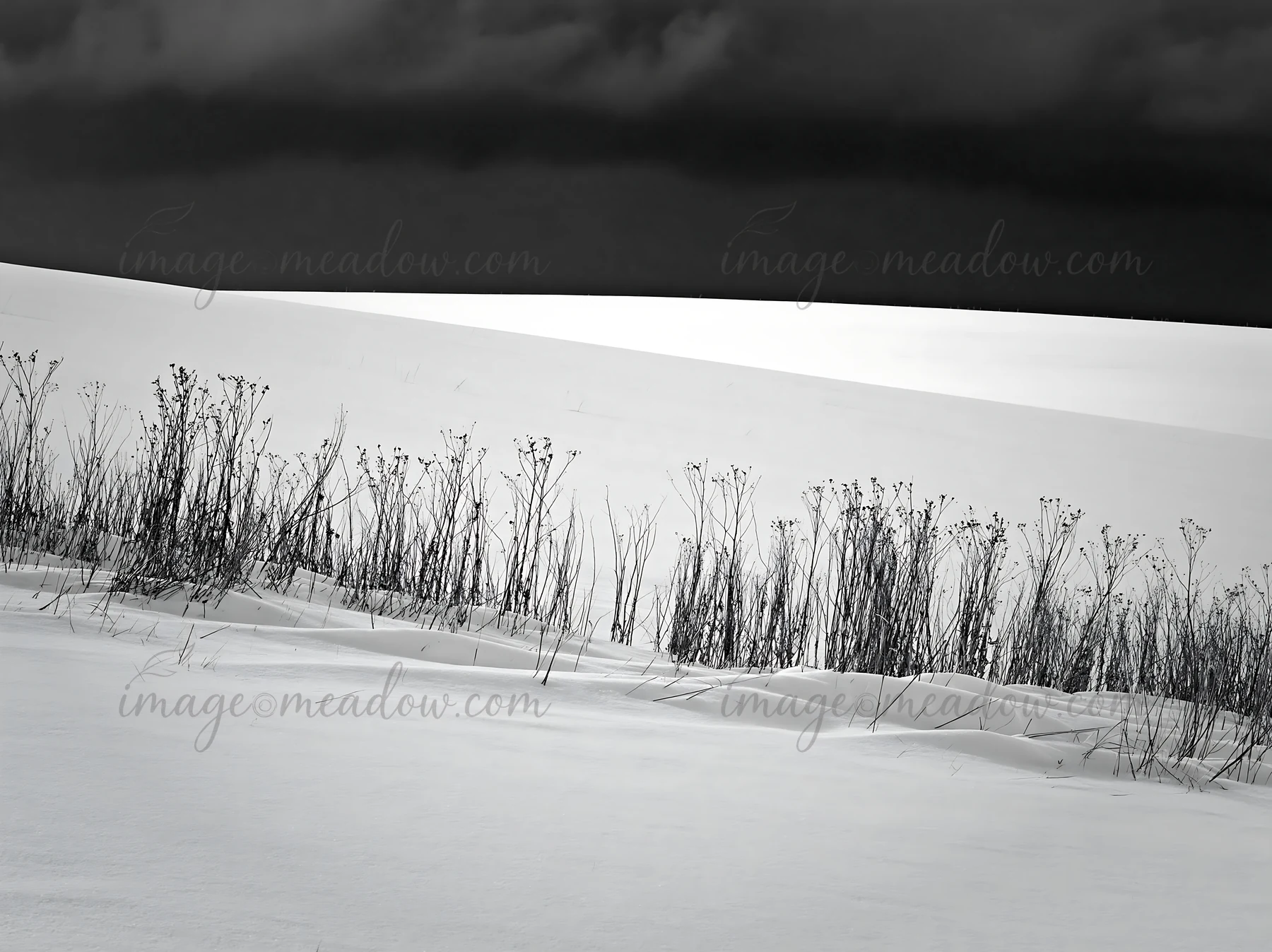Biei hills meadow features a blanket of snow with sparse vegetation in the foreground. Dark clouds loom over the landscape during winter, creating a stark contr