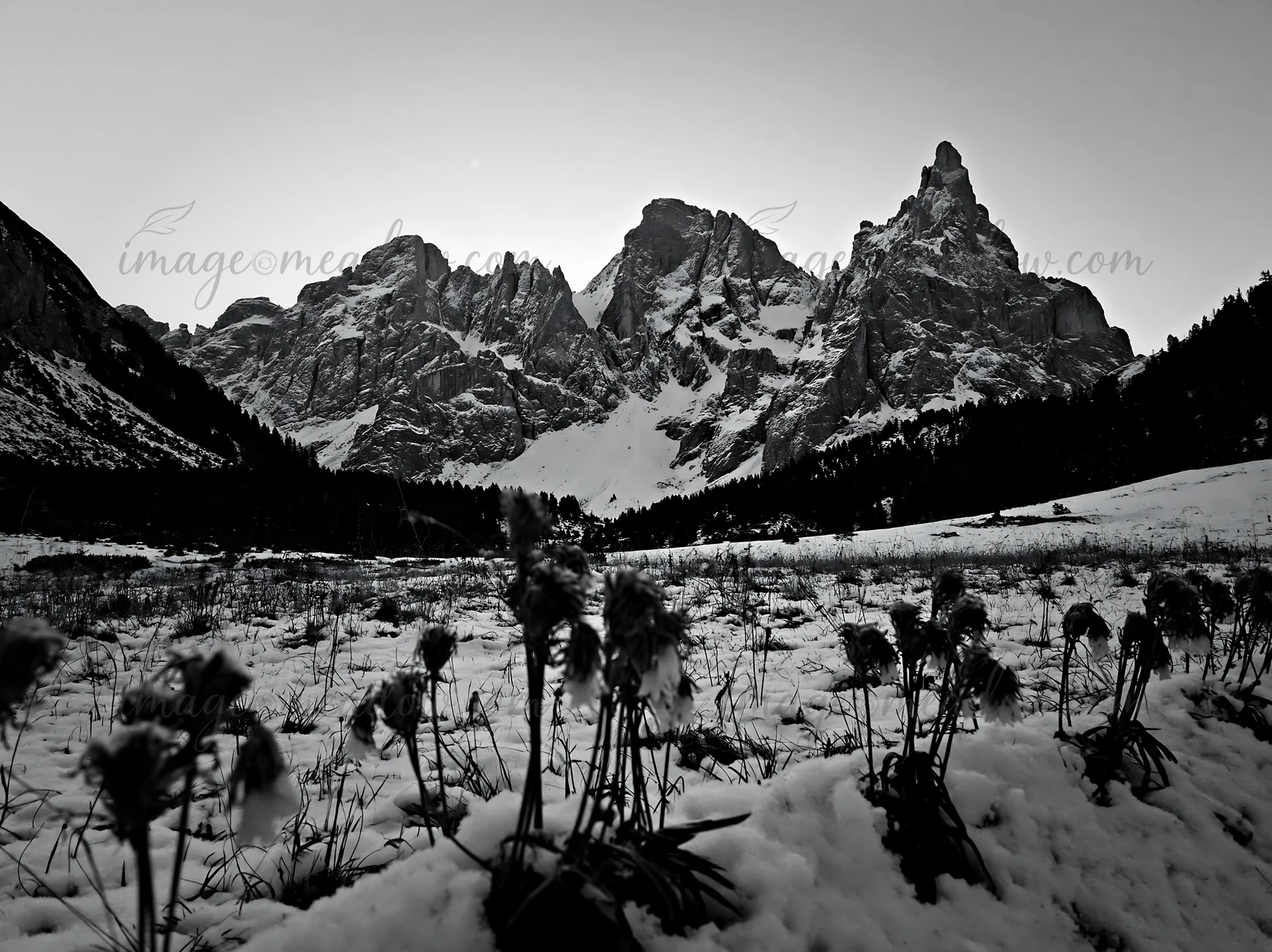 A snowbound meadow is present in the foreground, leading up to towering mountains in the background. The scene is set in winter with a clear sky above and snow