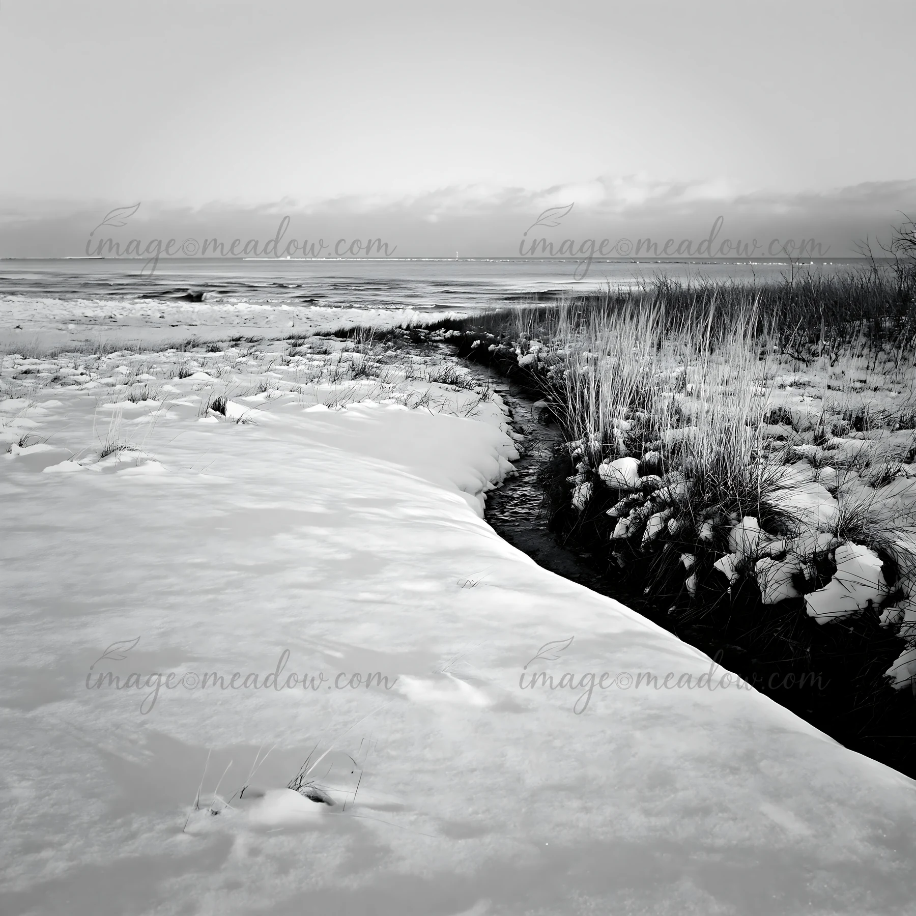 A winter scene shows a snowy beach meadow with a small creek flowing through it. The landscape features patches of grass and snow, with a distant view of ice on