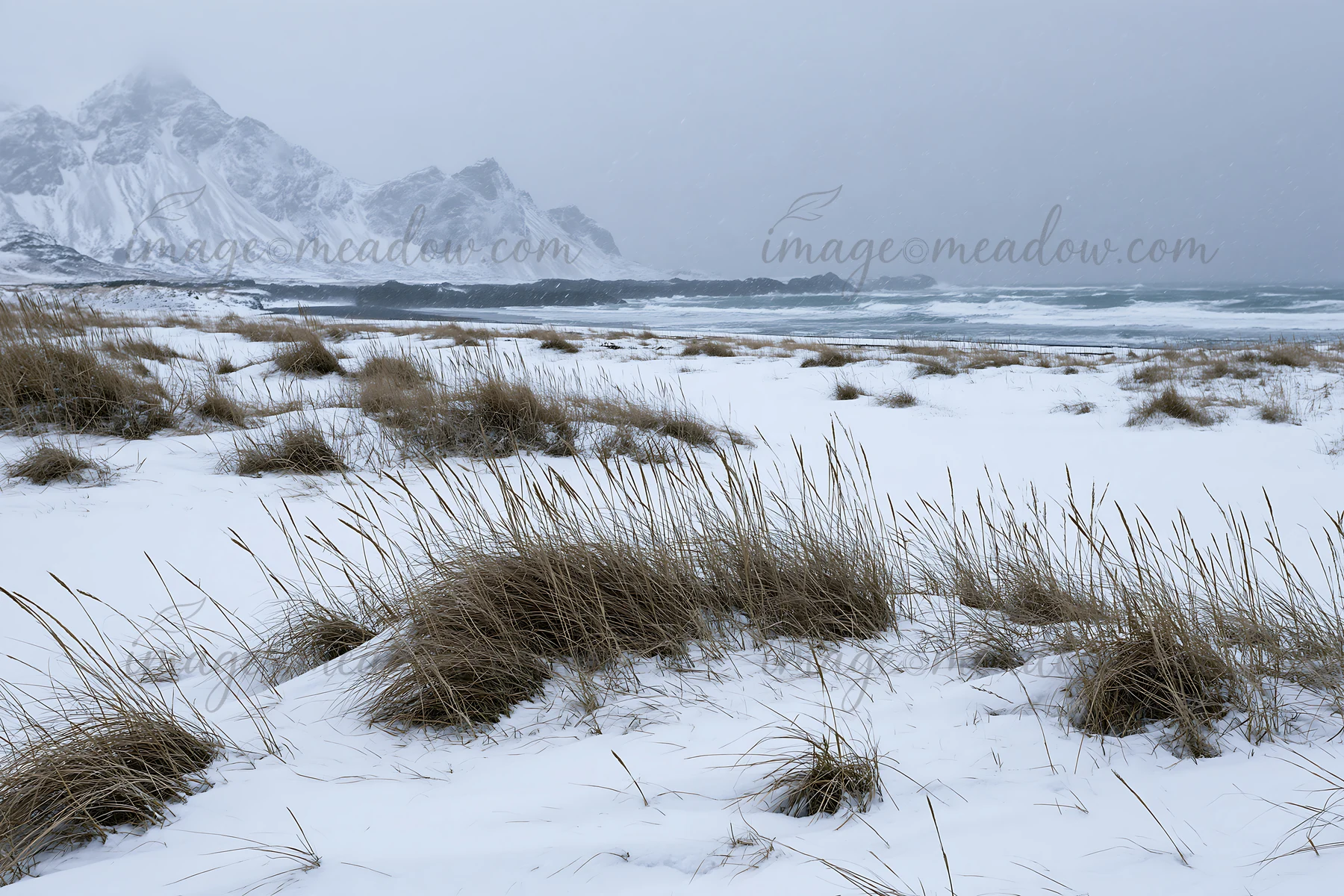 Snow covers a beach meadow near the ocean with tall grass swaying in the wind. Mountains rise in the distance, while gray clouds hover above during winter.