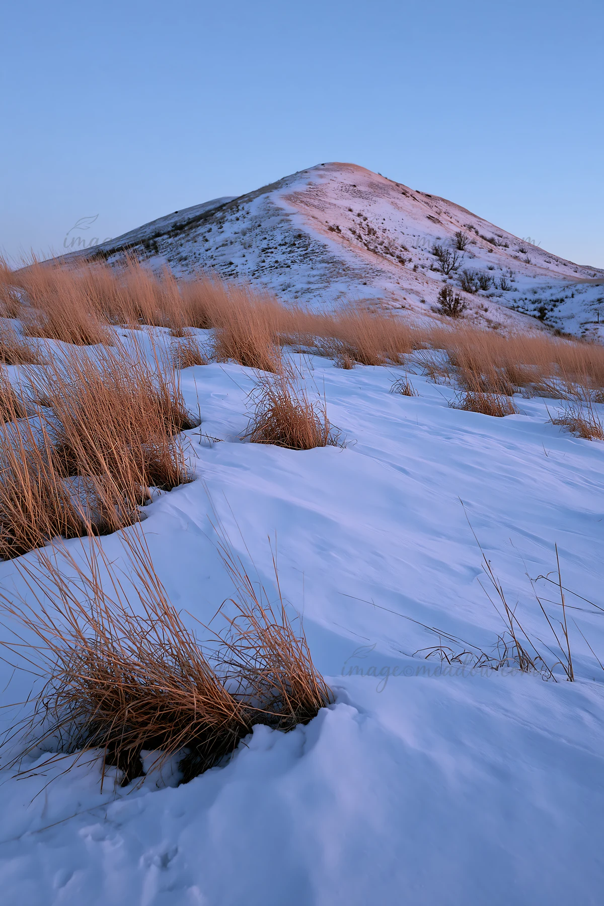 A snowy foothill meadow features tall grass clumps against a backdrop of a snow-covered hill. The sunlight casts a soft glow, creating a clear winter scene.