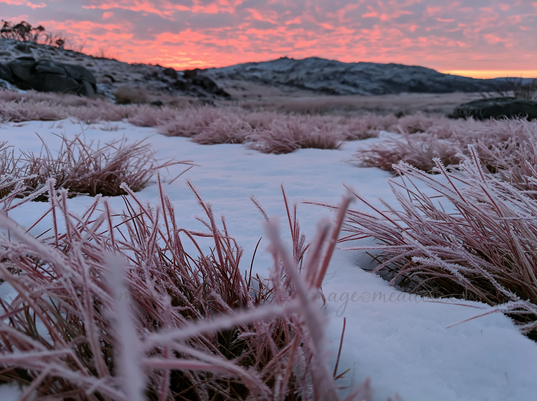 Frost-covered grass fills the foreground of a snowy highland meadow during sunrise, with clouds in shades of orange and pink set against distant hills.